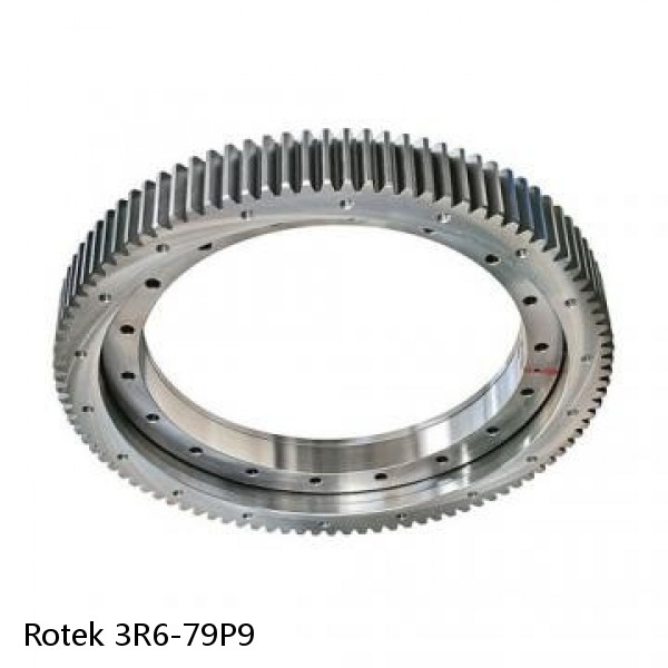 3R6-79P9 Rotek Slewing Ring Bearings