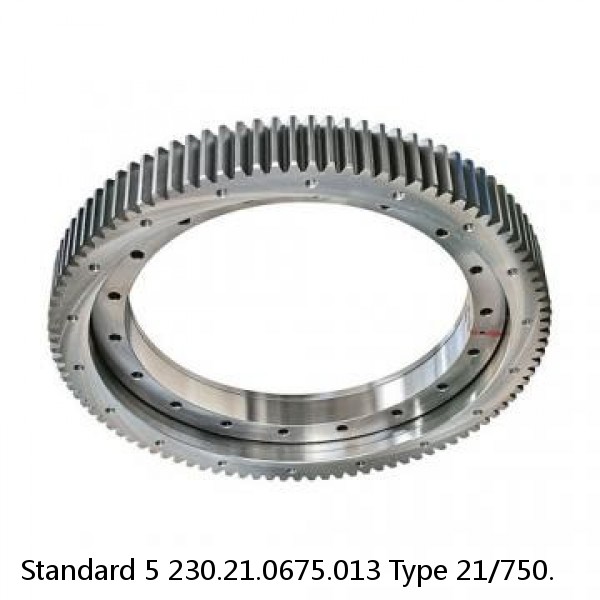 230.21.0675.013 Type 21/750. Standard 5 Slewing Ring Bearings