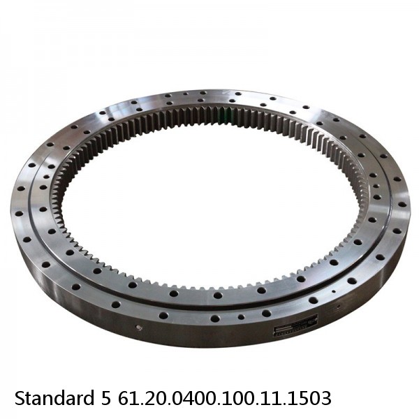 61.20.0400.100.11.1503 Standard 5 Slewing Ring Bearings