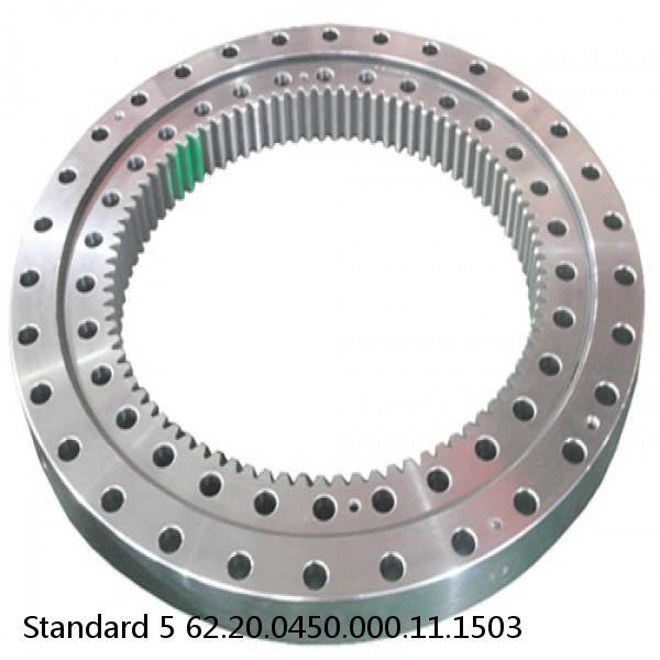 62.20.0450.000.11.1503 Standard 5 Slewing Ring Bearings