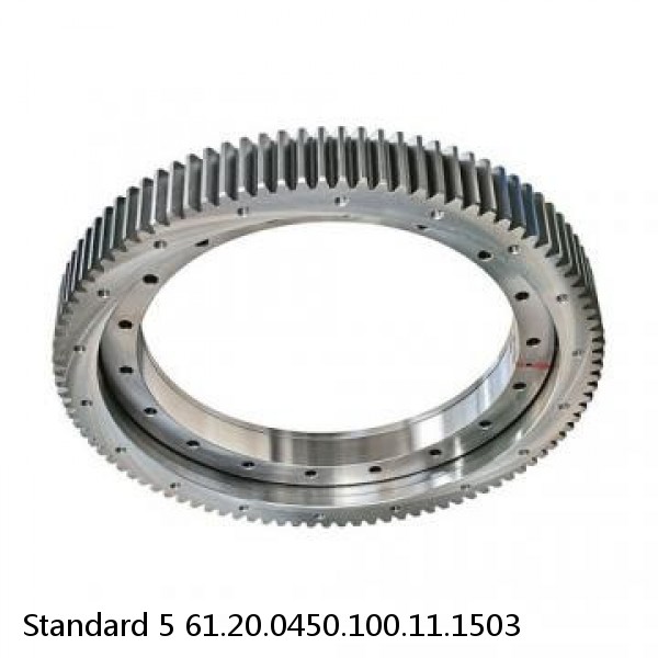 61.20.0450.100.11.1503 Standard 5 Slewing Ring Bearings