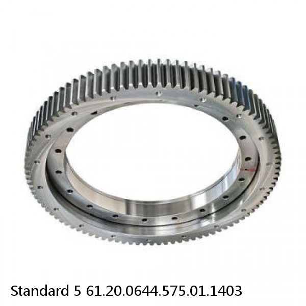 61.20.0644.575.01.1403 Standard 5 Slewing Ring Bearings