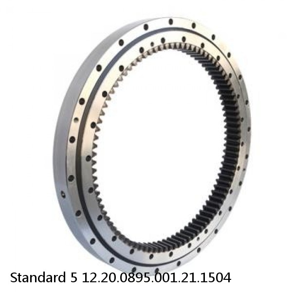 12.20.0895.001.21.1504 Standard 5 Slewing Ring Bearings