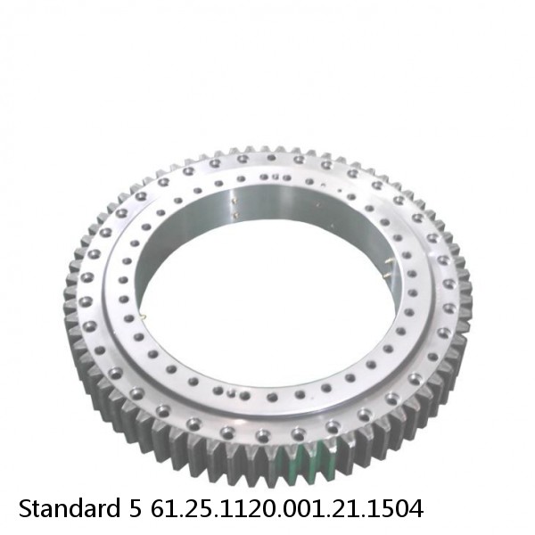 61.25.1120.001.21.1504 Standard 5 Slewing Ring Bearings