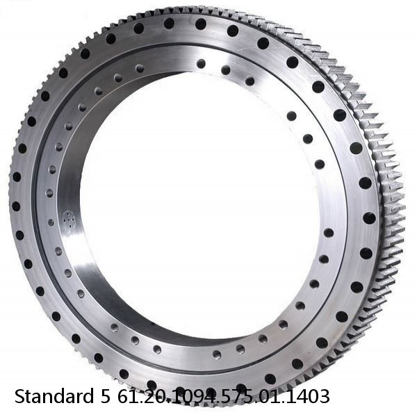 61.20.1094.575.01.1403 Standard 5 Slewing Ring Bearings