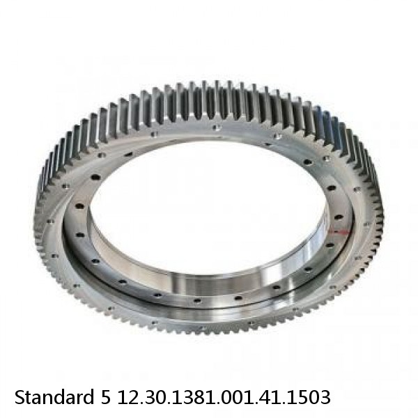 12.30.1381.001.41.1503 Standard 5 Slewing Ring Bearings