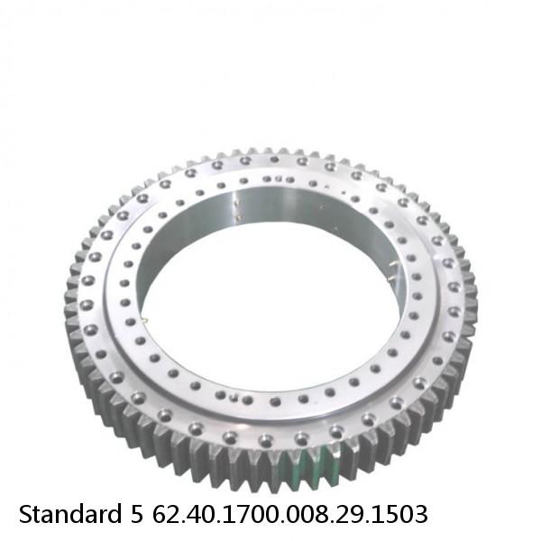 62.40.1700.008.29.1503 Standard 5 Slewing Ring Bearings