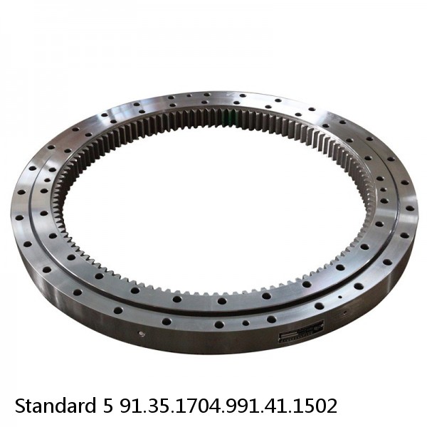 91.35.1704.991.41.1502 Standard 5 Slewing Ring Bearings