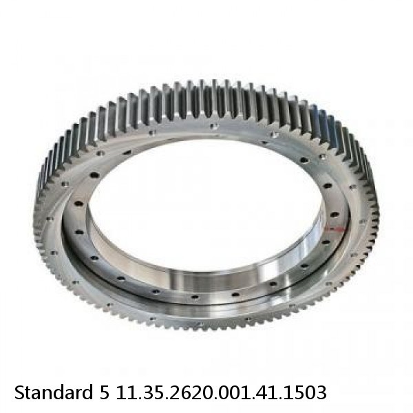 11.35.2620.001.41.1503 Standard 5 Slewing Ring Bearings